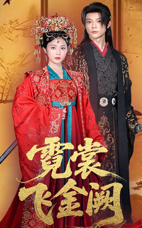 霓裳飞金阙封面图