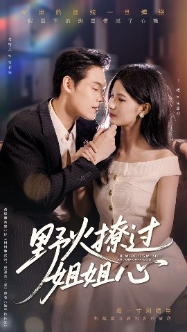 野火撩过姐姐心封面图