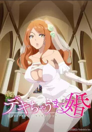 做到怀孕为止的婚姻封面图