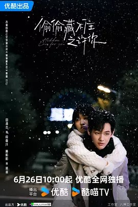 偷偷藏不住之许你封面图