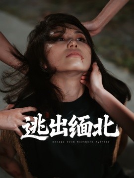 逃出缅北封面图