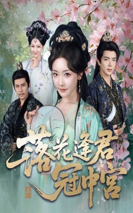 落花逢君冠中宫封面图
