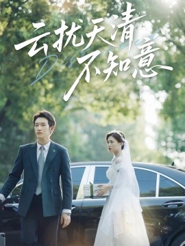 云扰天清不知意封面图