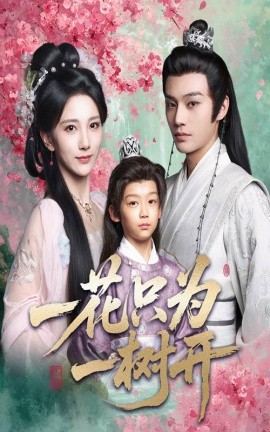 一花只为一树开封面图