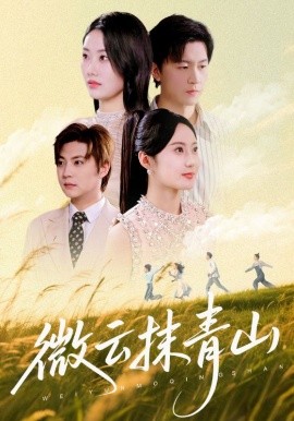 微云抹青山封面图