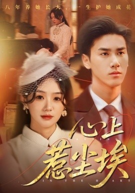 心上惹尘埃封面图