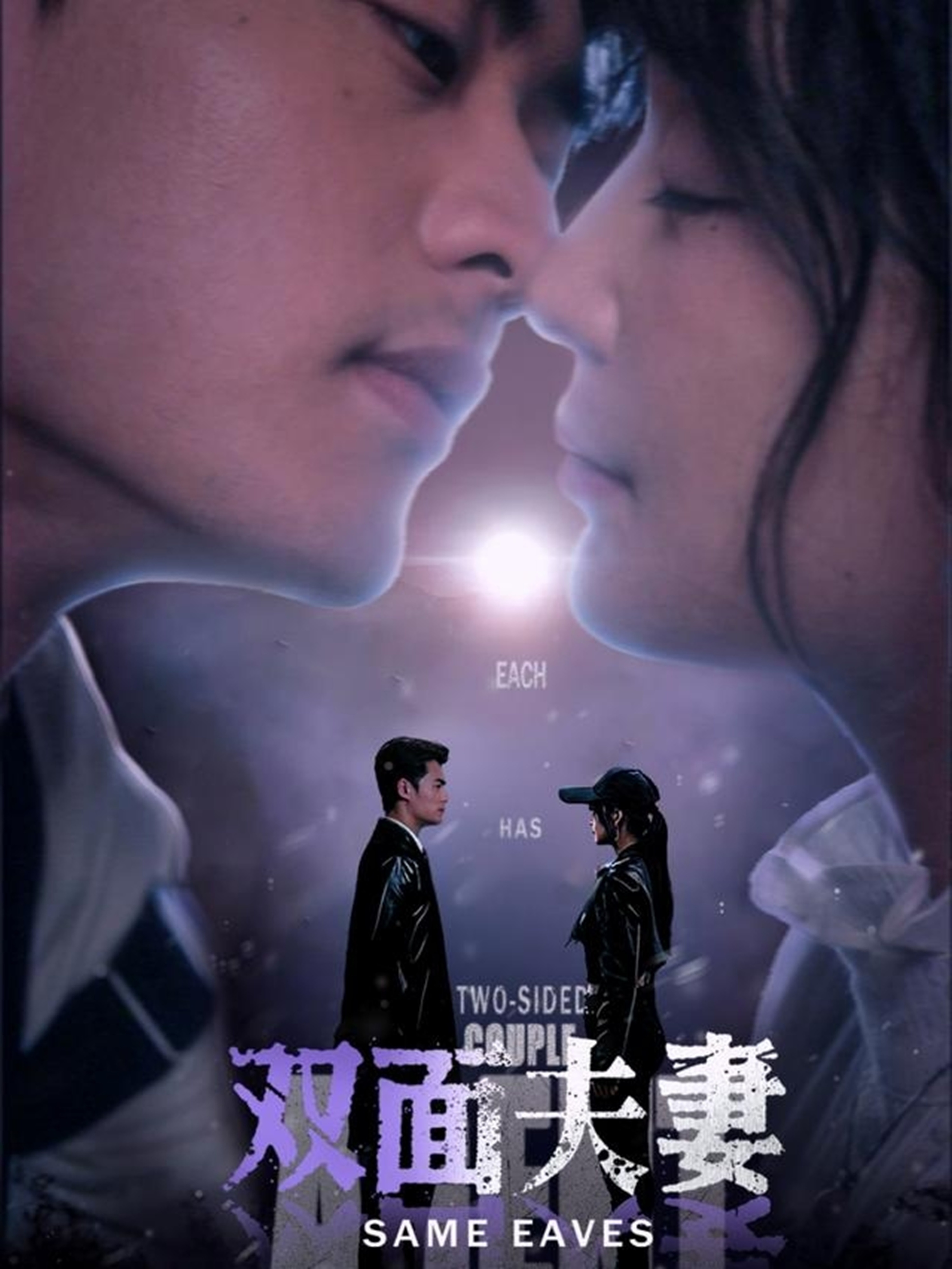 双面夫妻封面图