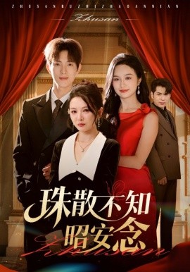 珠散不知昭安念封面图