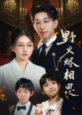 野火烬相思封面图