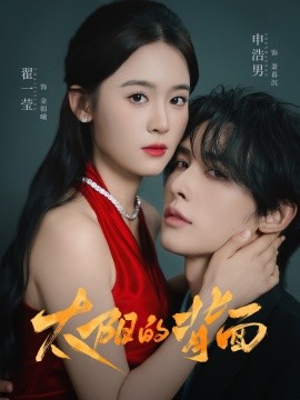 太阳的背面封面图