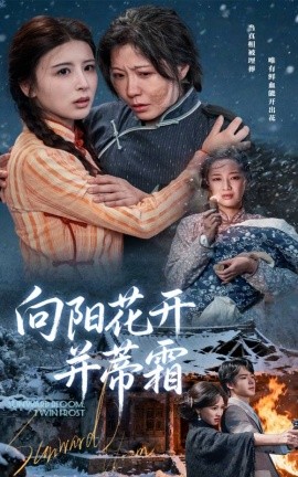 向阳花开并蒂霜封面图