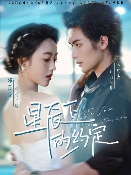 星辰下的约定封面图
