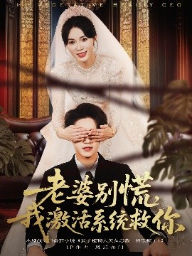 老婆别慌，我激活系统救你封面图