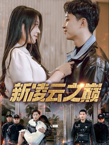 新凌云之巅封面图