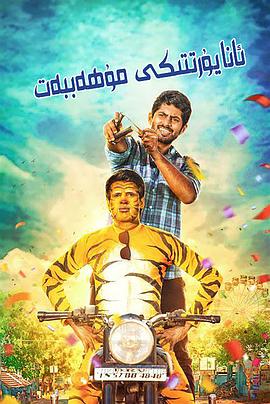 故乡桃花运封面图