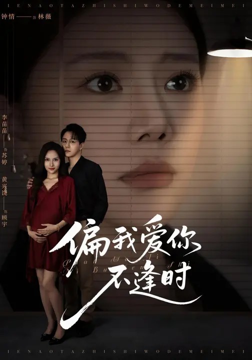 偏我爱你不逢时封面图