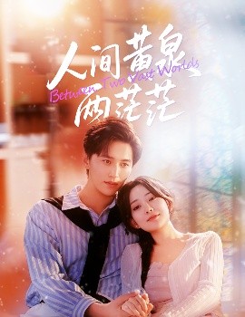 人间黄泉两茫茫封面图