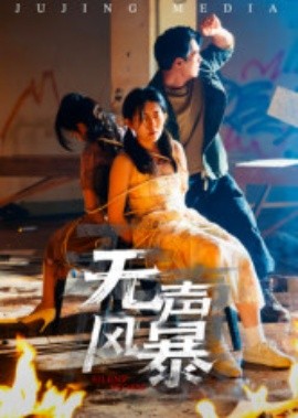 无声风暴封面图