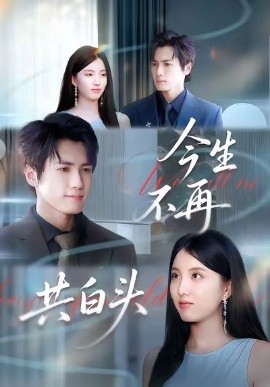 今生不再共白头封面图