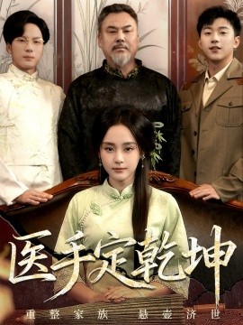 医手定乾坤封面图