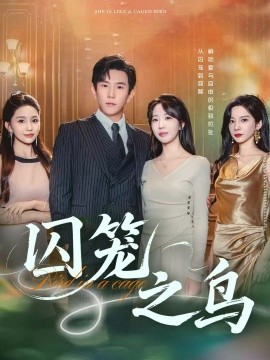囚笼之鸟封面图