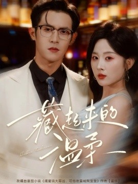 藏起来的温柔封面图