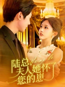 陆总，夫人她怀了您的崽封面图