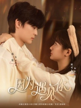 因为遇见你封面图