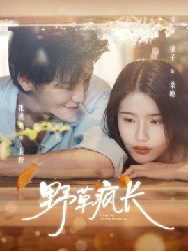 野草疯长封面图